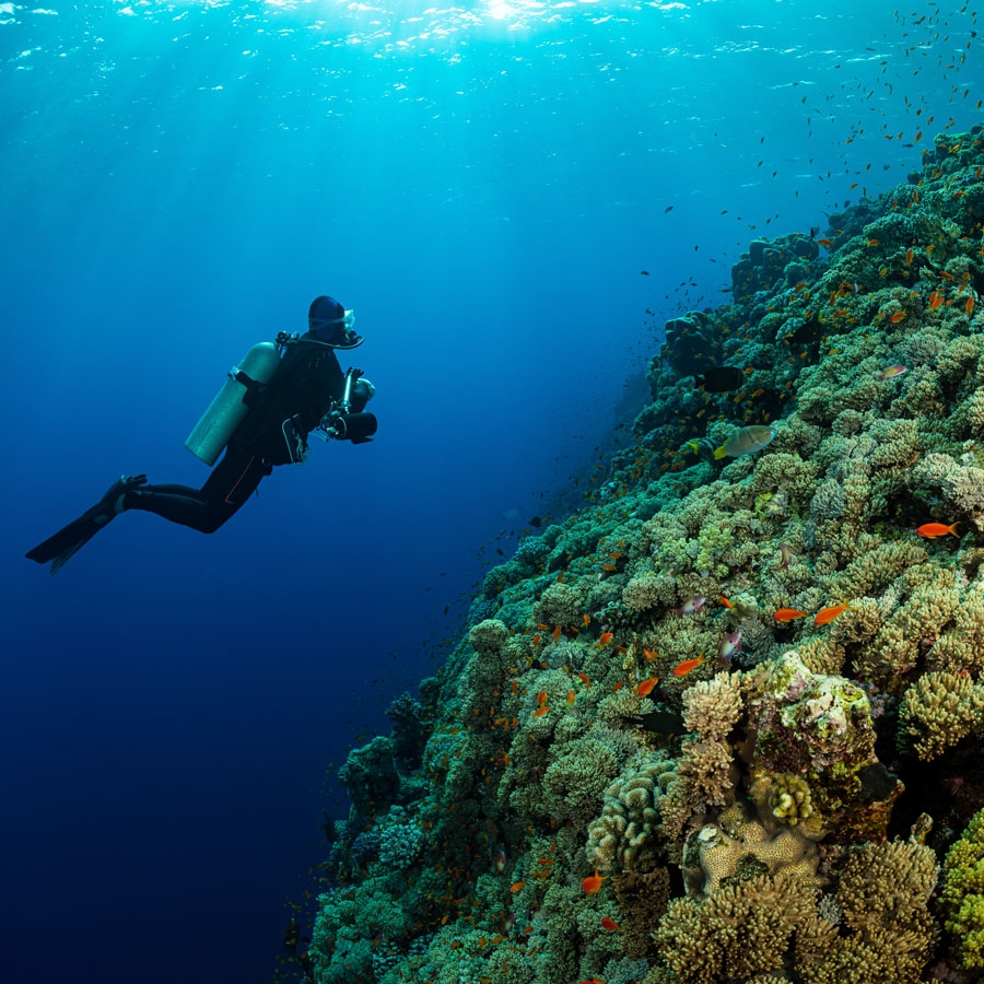 Andaman Nicobar Island